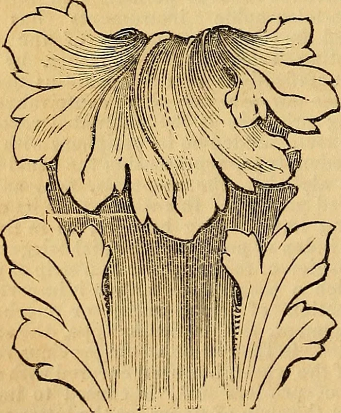 An illustration from The Decorator's assistant, 1847, leaf 33