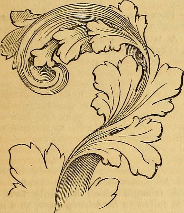 An illustration from The Decorator's assistant, 1847, leaf 34