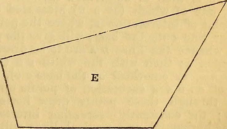 An illustration from The Decorator's assistant, 1847, leaf 40