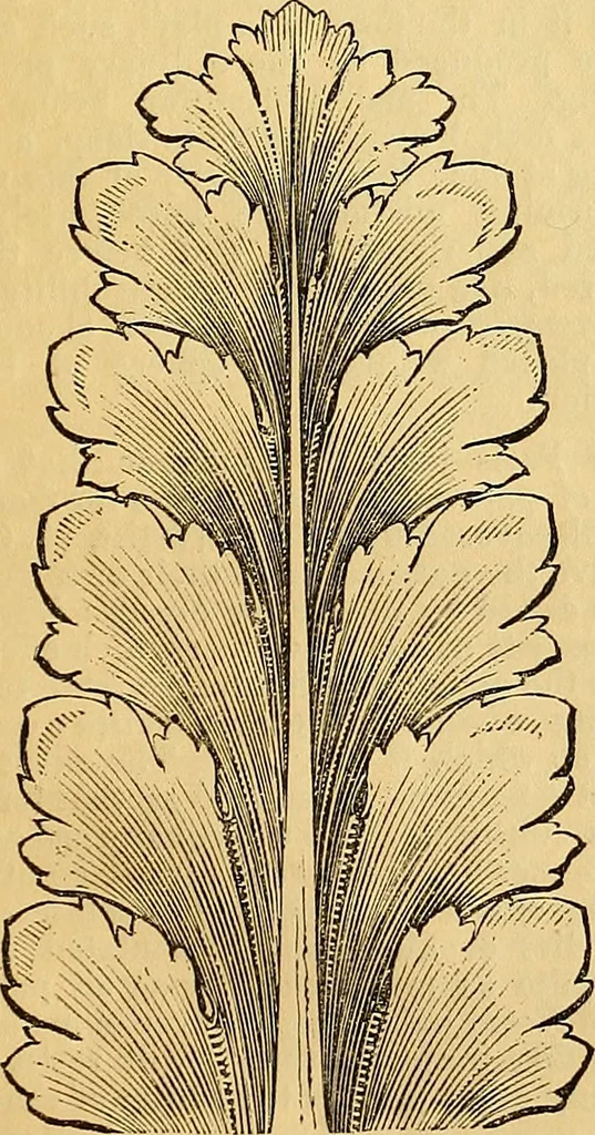 An illustration from The Decorator's assistant, 1847, leaf 42
