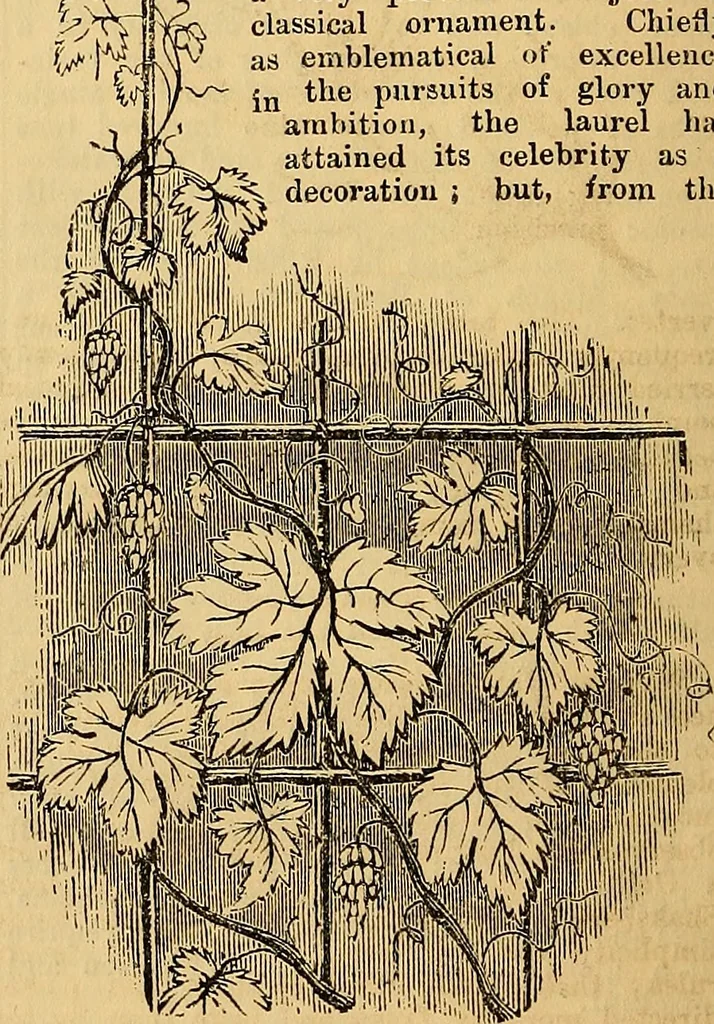 An illustration from The Decorator's assistant, 1847, leaf 49