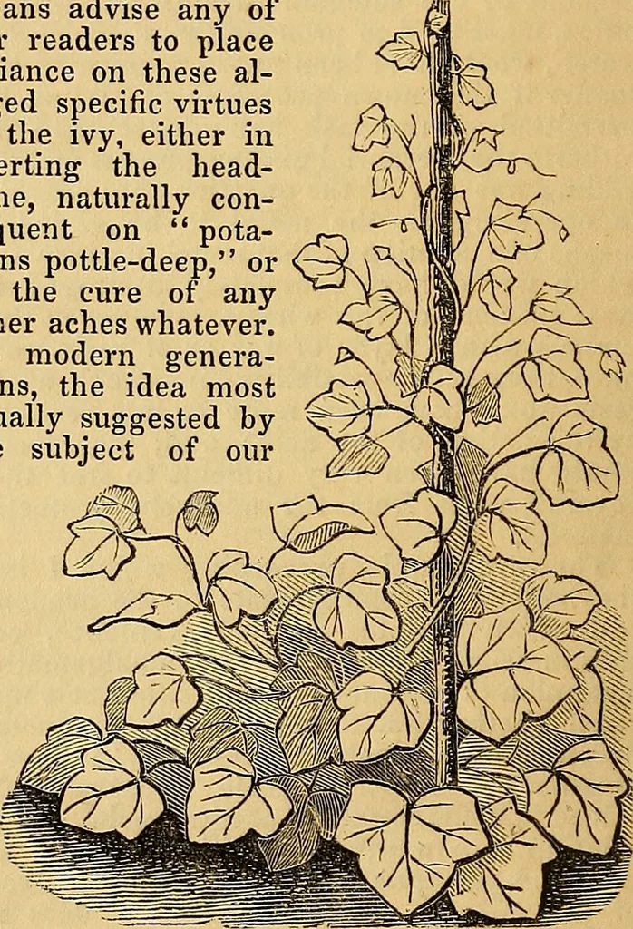 An illustration from The Decorator's assistant, 1847, leaf 65