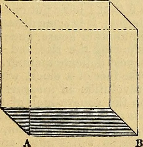 An illustration from The Decorator's assistant, 1847, leaf 15