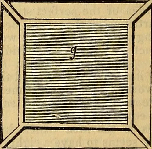 An illustration from The Decorator's assistant, 1847, leaf 152