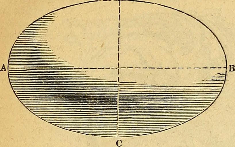 An illustration from The Decorator's assistant, 1847, leaf 21