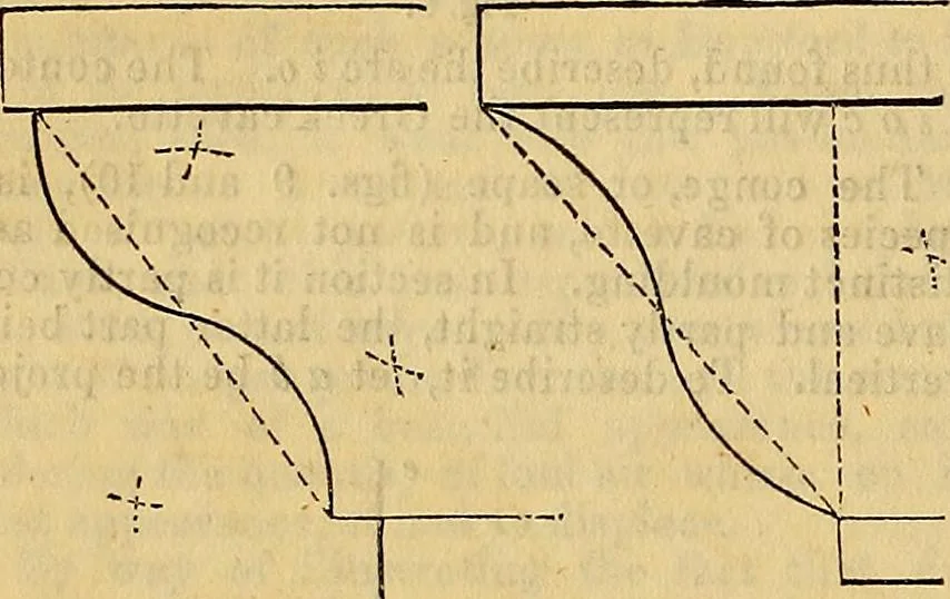 An illustration from The Decorator's assistant, 1847, leaf 218