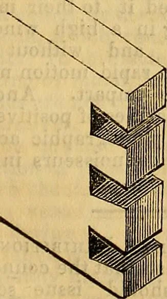 An illustration from The Decorator's assistant, 1847, leaf 219