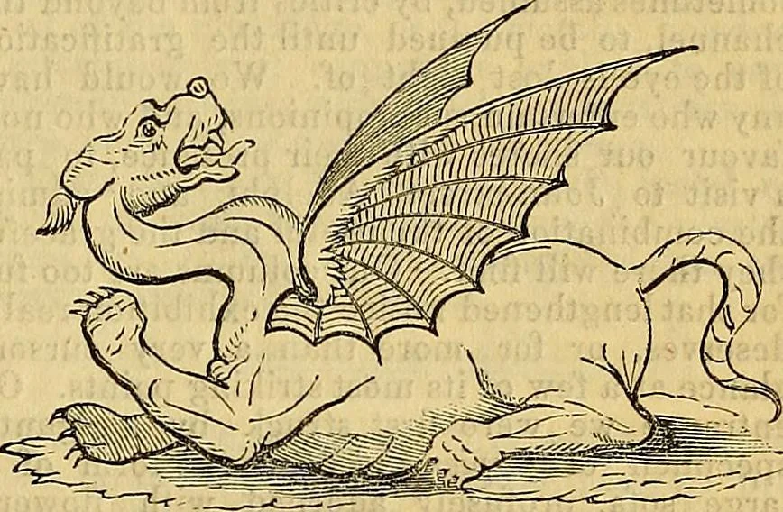An illustration from The Decorator's assistant, 1847, leaf 219