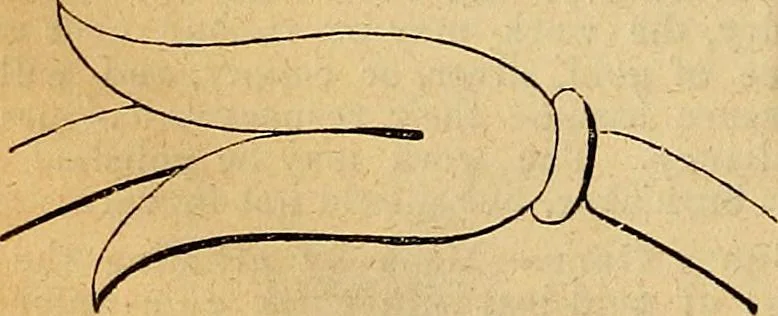 An illustration from The Decorator's assistant, 1847, leaf 22