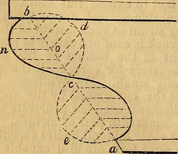 An illustration from The Decorator's assistant, 1847, leaf 242
