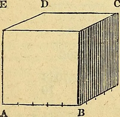 An illustration from The Decorator's assistant, 1847, leaf 33