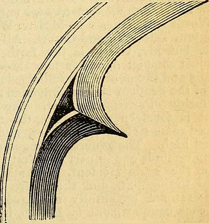 An illustration from The Decorator's assistant, 1847, leaf 49