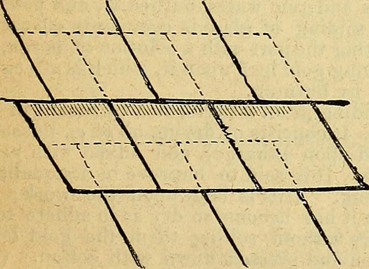 An illustration from The Decorator's assistant, 1847, leaf 59