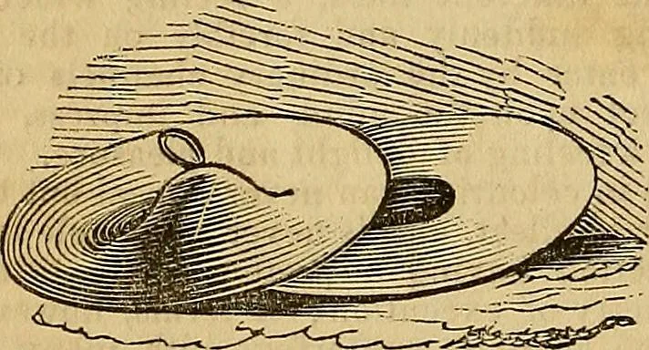 An illustration from The Decorator's assistant, 1847, leaf 80
