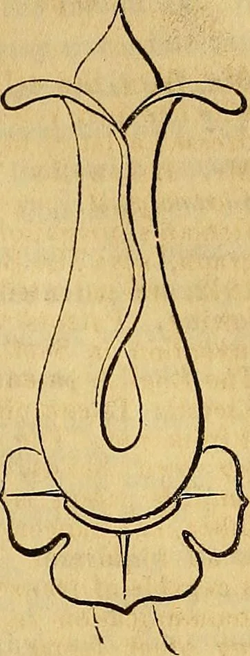 An illustration from The Decorator's assistant, 1847, leaf 118