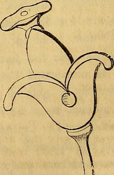 An illustration from The Decorator's assistant, 1847, leaf 118