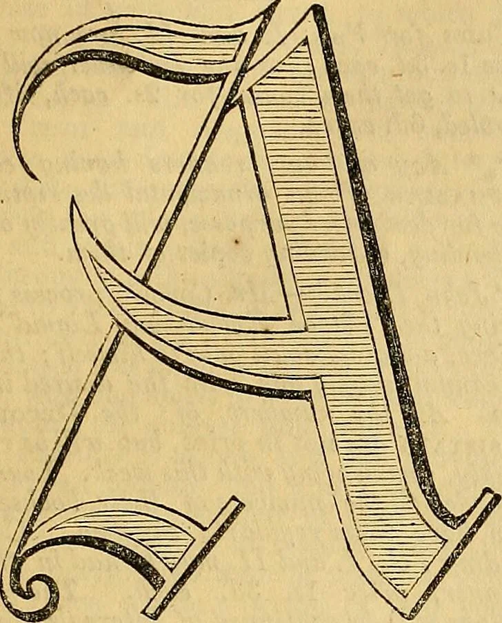 An illustration from The Decorator's assistant, 1847, leaf 120