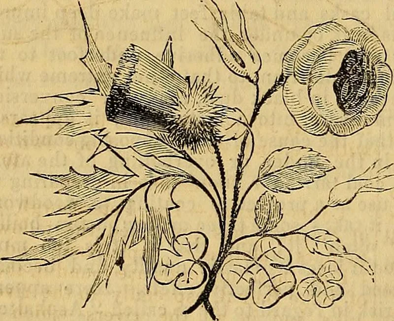 An illustration from The Decorator's assistant, 1847, leaf 171