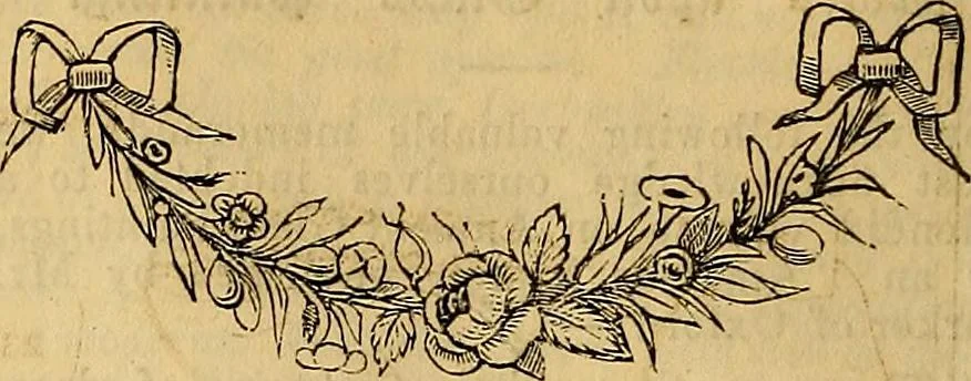 An illustration from The Decorator's assistant, 1847, leaf 171