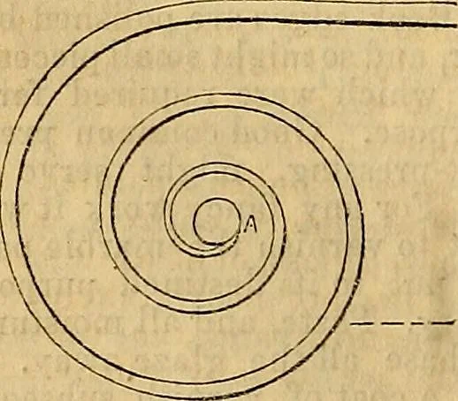 An illustration from The Decorator's assistant, 1847, leaf 183