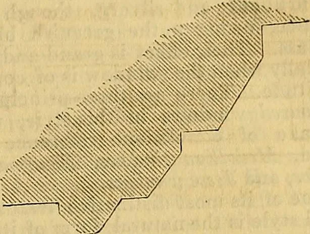 An illustration from The Decorator's assistant, 1847, leaf 184