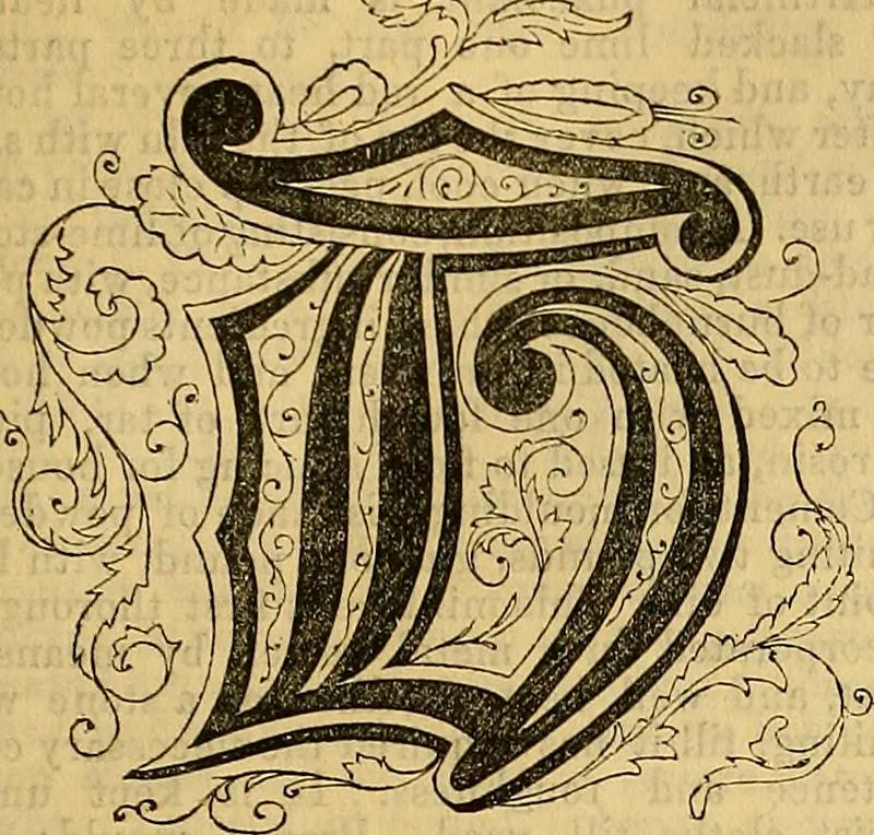 An illustration from The Decorator's assistant, 1847, leaf 204