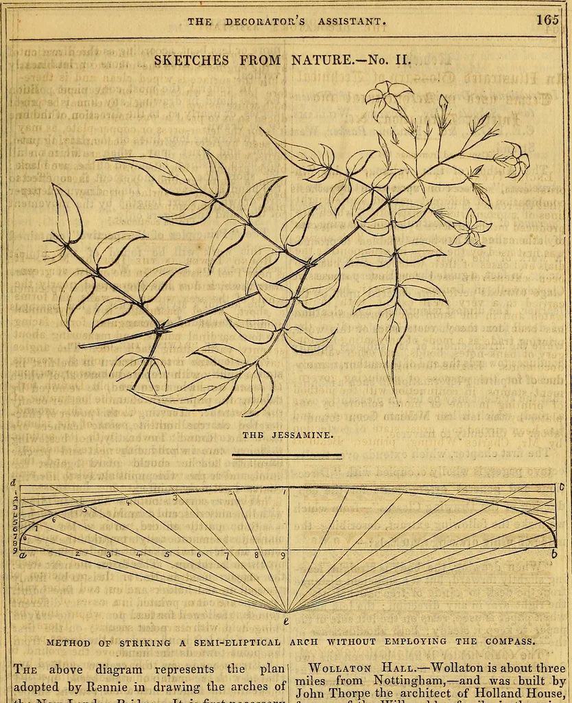 An illustration from The Decorator's assistant, 1847, leaf 208