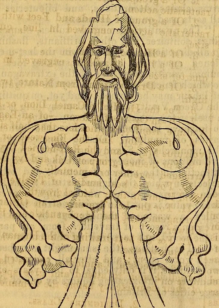 An illustration from The Decorator's assistant, 1847, leaf 219