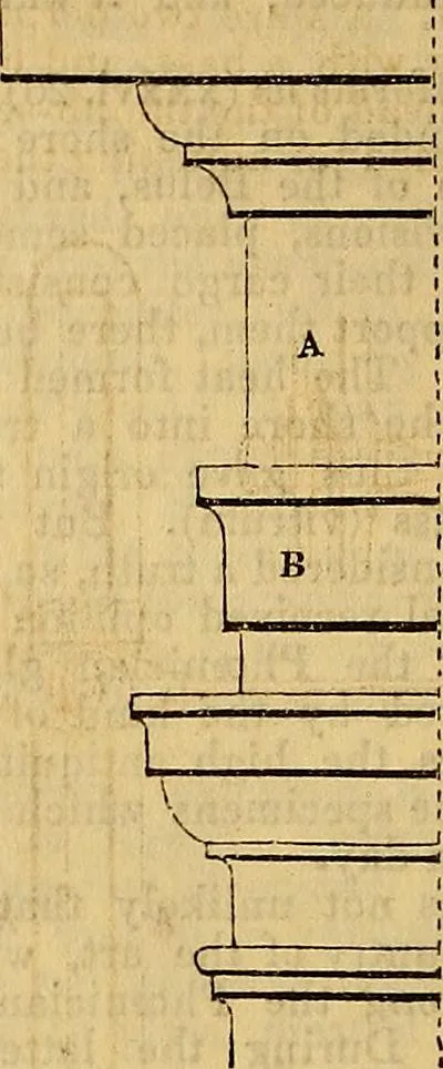 An illustration from The Decorator's assistant, 1847, leaf 255