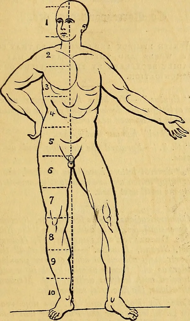 An illustration from The Decorator's assistant, 1847, leaf 300