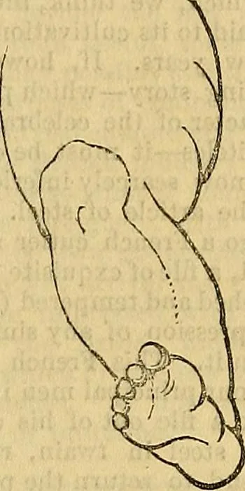 An illustration from The Decorator's assistant, 1847, leaf 308