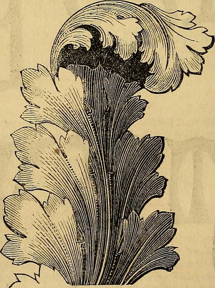 An illustration from The Decorator's assistant, 1847, leaf 333