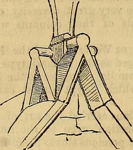 An illustration from The Decorator's assistant, 1847, leaf 341