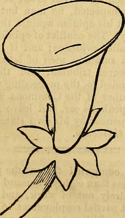 An illustration from The Decorator's assistant, 1847, leaf 354