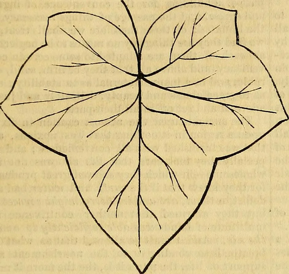 An illustration from The Decorator's assistant, 1847, leaf 378