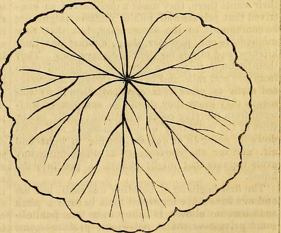 An illustration from The Decorator's assistant, 1847, leaf 378