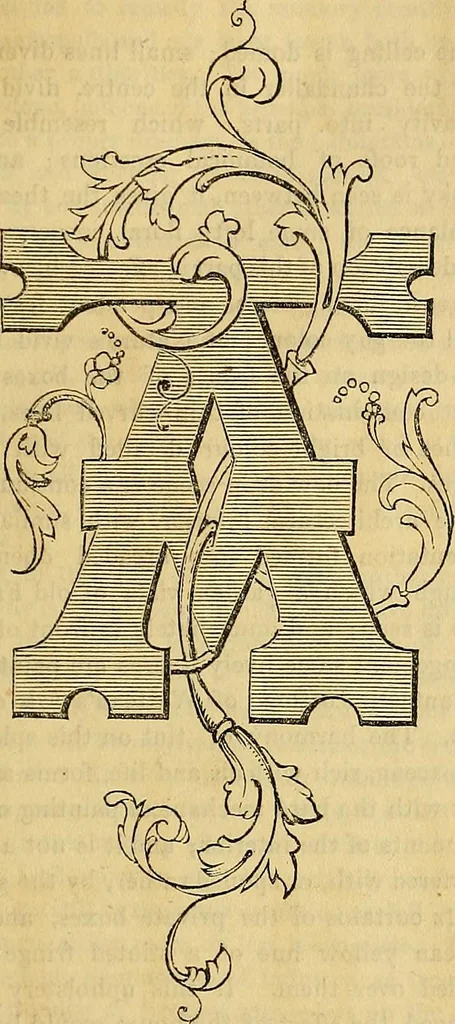 An illustration from The Decorator's assistant, 1847, leaf 386