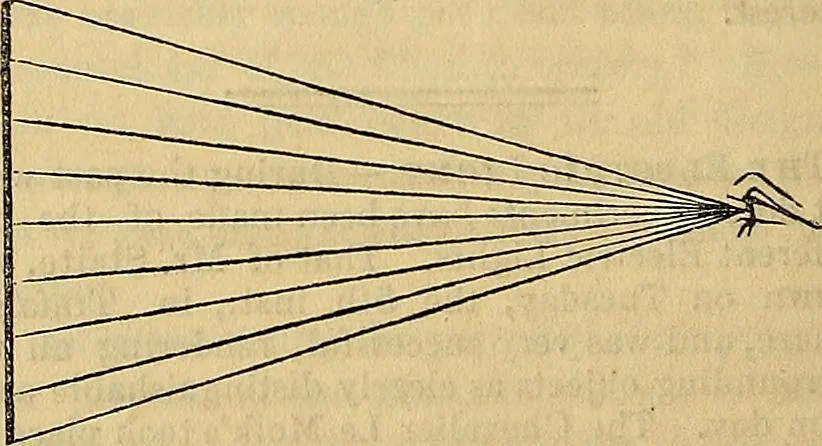 An illustration from The Decorator's assistant, 1847, leaf 417