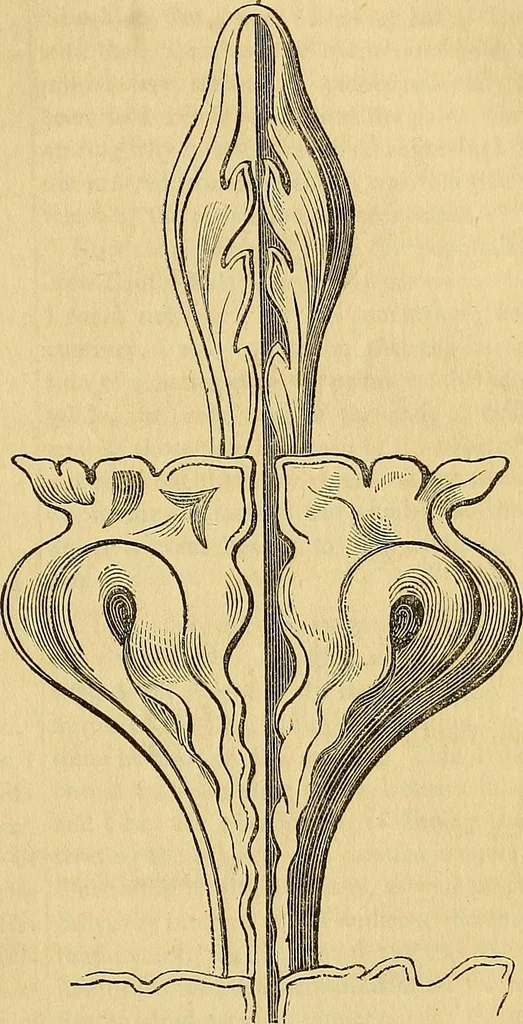 An illustration from The Decorator's assistant, 1847, leaf 432