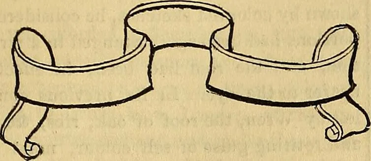 An illustration from The Decorator's assistant, 1847, leaf 438
