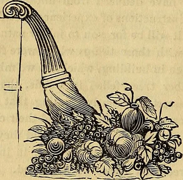 An illustration from The Decorator's assistant, 1847, leaf 489