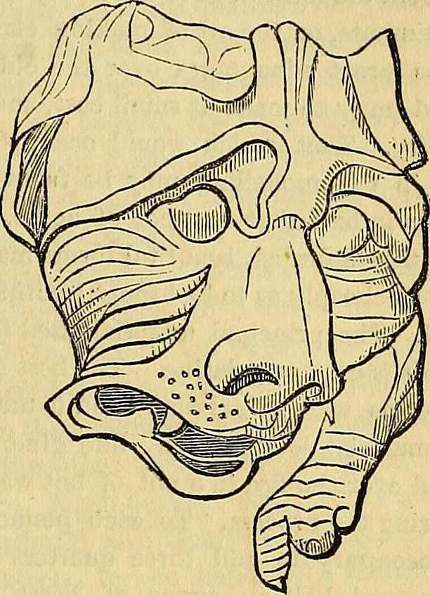 An illustration from The Decorator's assistant, 1847, leaf 534