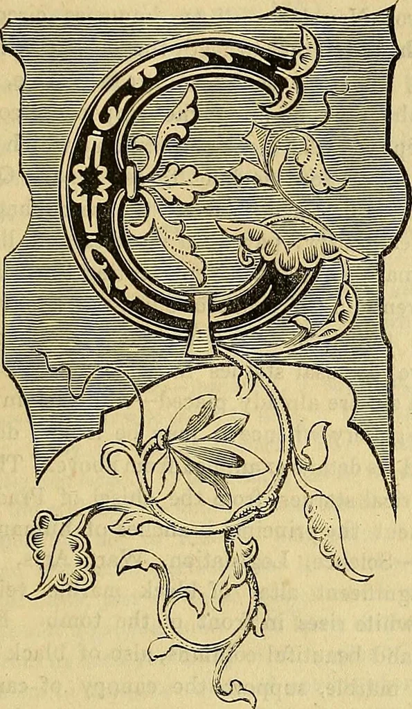 An illustration from The Decorator's assistant, 1847, leaf 554
