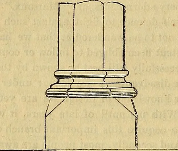 An illustration from The Decorator's assistant, 1847, leaf 561