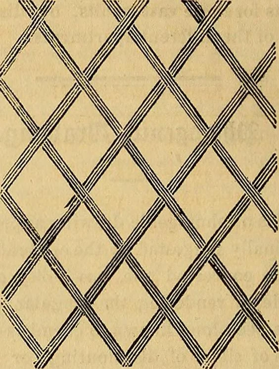 An illustration from The Decorator's assistant, 1847, leaf 573