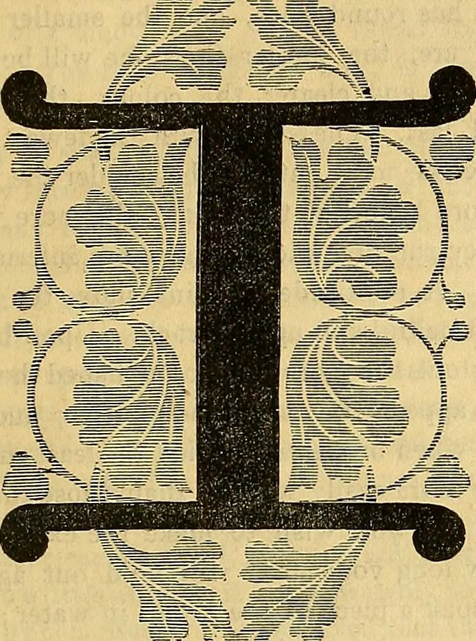An illustration from The Decorator's assistant, 1847, leaf 614