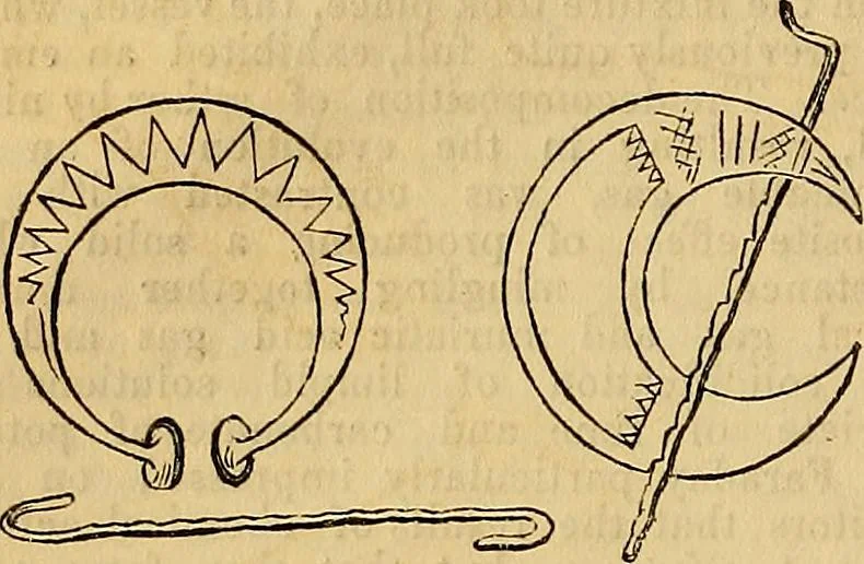 An illustration from The Decorator's assistant, 1847, leaf 63