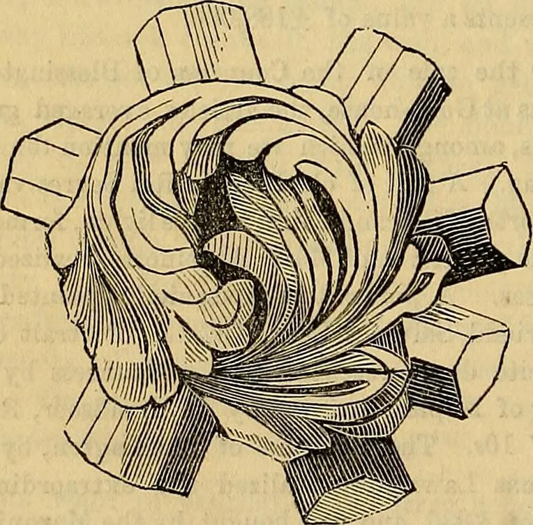 An illustration from The Decorator's assistant, 1847, leaf 691