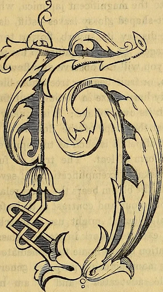 An illustration from The Decorator's assistant, 1847, leaf 722