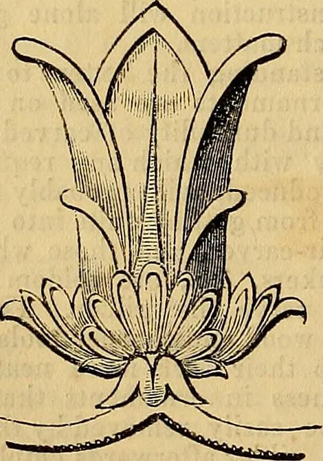 An illustration from The Decorator's assistant, 1847, leaf 75
